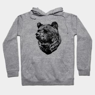 Brown bear Hoodie